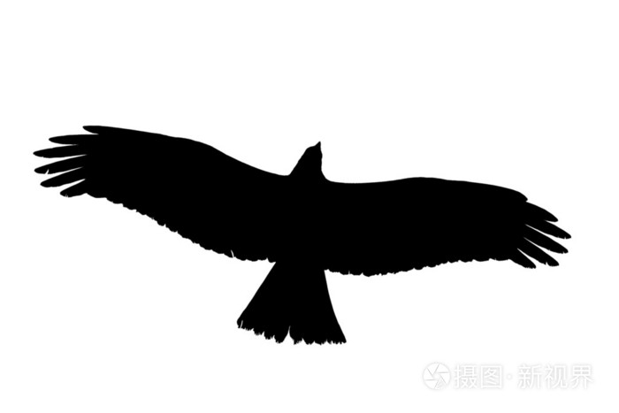 在白色背景上的黑色老鹰剪影光栅图像
