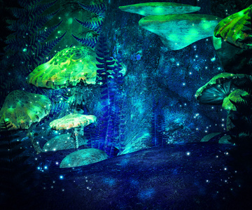 树皮蘑菇魔法仙境背景照片