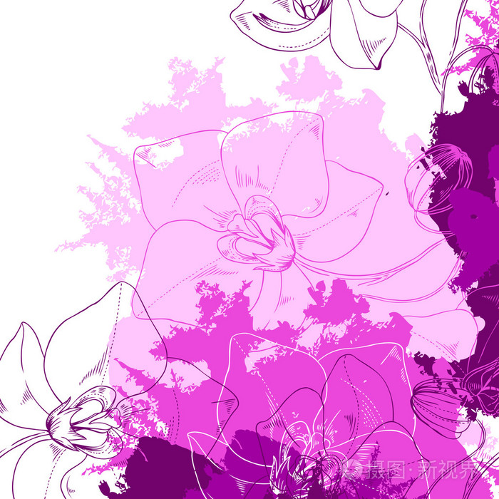 框架的紫兰花