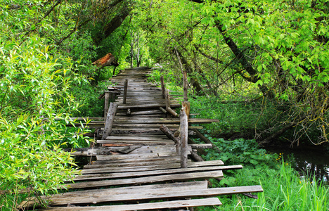 危险如果在脚上断木桥照片