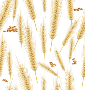 小麦无缝背景