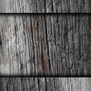 木材纹理旧背景树图案棕色自然木材 tex