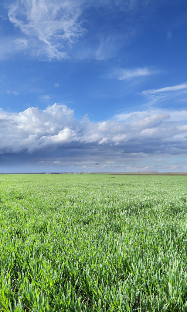 农业照片-正版商用图片1cj725-摄图新视界