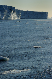 冰山 iceshelfs 和南极山