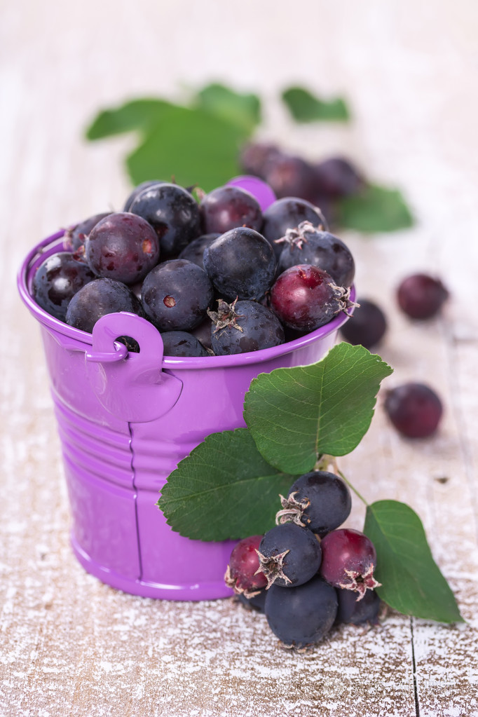 存储桶中的野生浆果照片-正版商用图片1cjdzs-摄图新视界