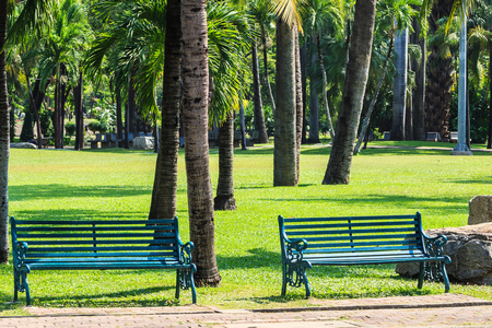 热带花园中的绿色长椅