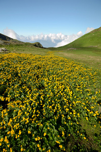 夏季高山颜色