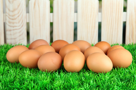 地上蛋壳在明亮的背景上的草地上许多鸡蛋照片