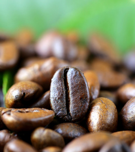 宏拍摄的自然背景上的咖啡豆