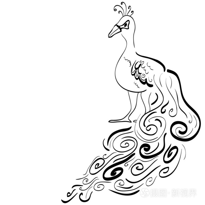 美丽手绘孔雀图