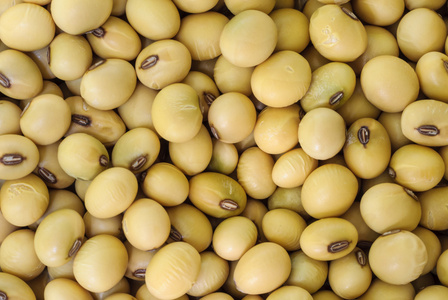 黄豆酱图片-黄豆酱素材-黄豆酱插画-摄图新视界