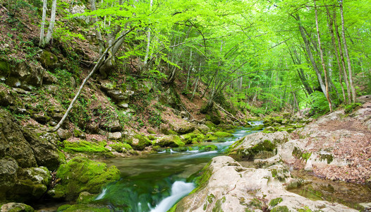 河在山地森林深处图片