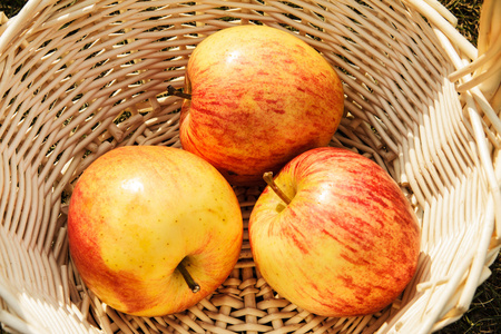 喜食的购物篮中的美丽和成熟苹果