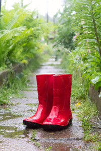 红色橡胶靴子装满了水的雨中
