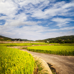 美丽的风景