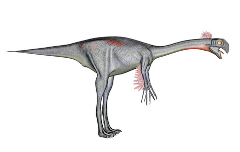 巨脚类动物图片