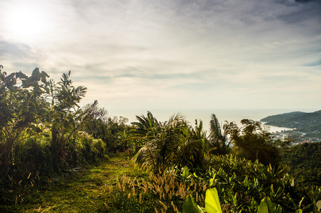 热带岛屿与完美日出天空的景观