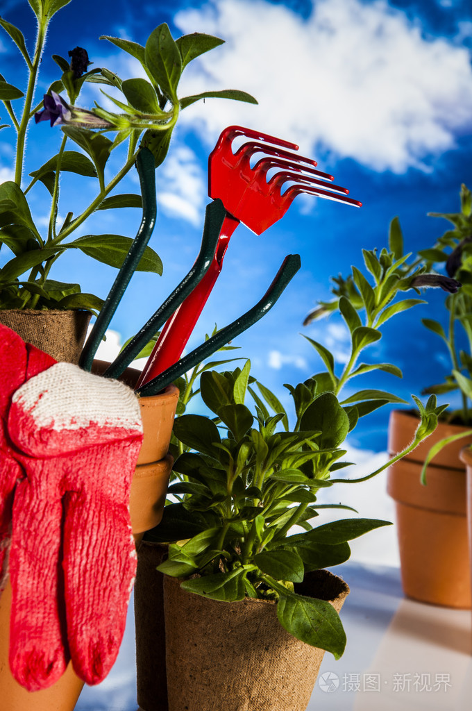 美丽的春天组成园艺的东西