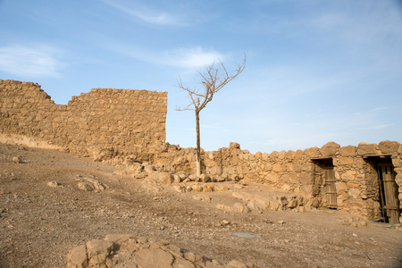 马萨达考古