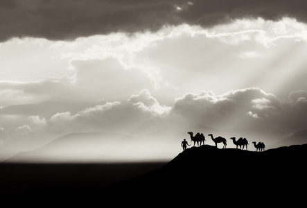 bw 沙漠背景