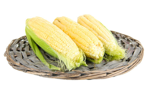 新鲜玉米蔬菜上白色隔离