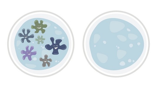 显微镜下的细菌图片