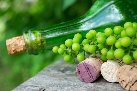 葡萄酒瓶和年轻葡萄自然背景上图片