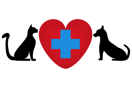 兽医符号的猫和狗的照片