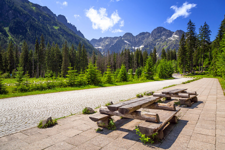 风景秀丽的 wlosienica 在 tatra 山地草甸