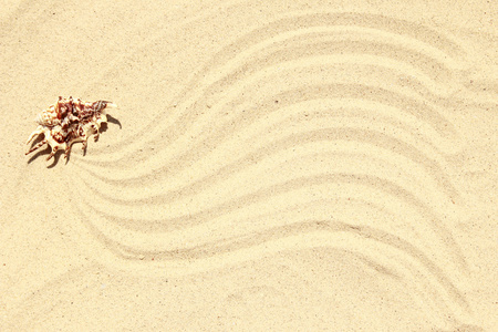 海滩上的沙子的背景