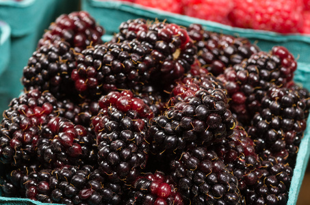 篮子里的新鲜 marionberries