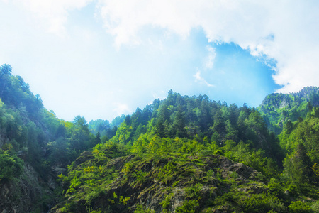 夏天在山