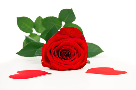 情人节玫瑰和心