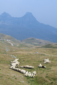 山高地