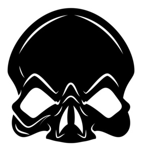 动物的骷髅头图片