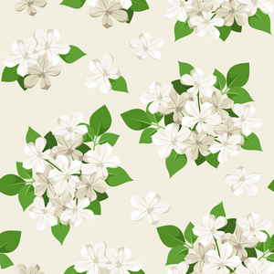 无缝模式与白色的花。矢量插画