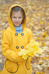 穿黄色衣服的小女孩收集黄色枫叶