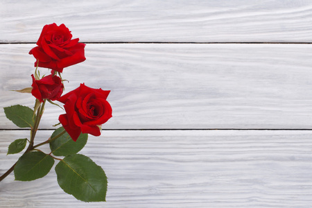 美丽的鲜花红玫瑰陷害的木制表面