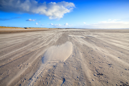 风在 ijmuiden，荷兰在沙滩上