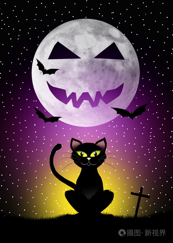 万圣节的黑猫