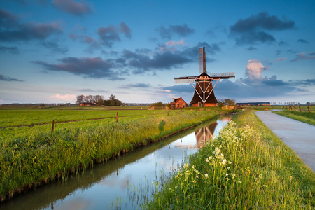 野花和日出时的荷兰风车