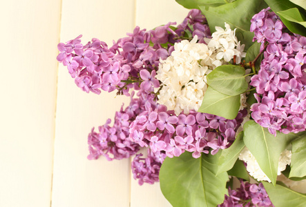 美丽的紫丁香花，颜色木制背景上