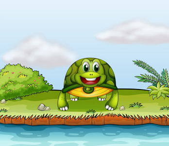 一只乌龟在河边