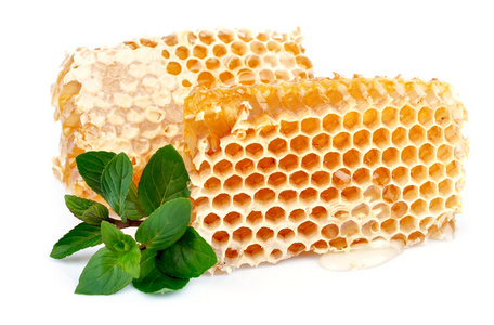 与薄荷蜂蜜蜂窝图片