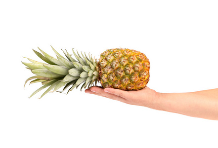 新鲜菠萝一只手上