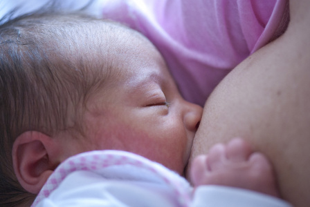 刚出生的婴儿在母亲怀中吃奶吃