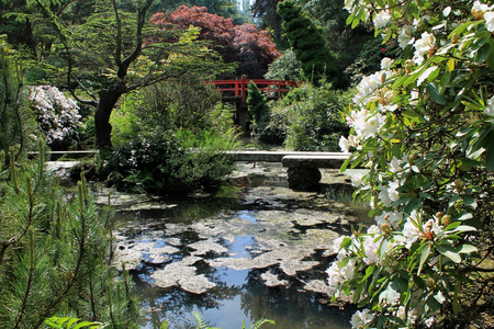 日本花园水池