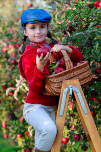 年轻的女孩入 basket.orchard 摘有机苹果