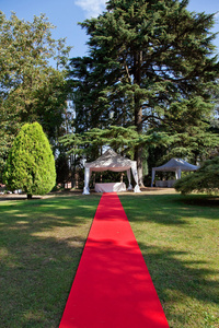 婚礼前的红地毯