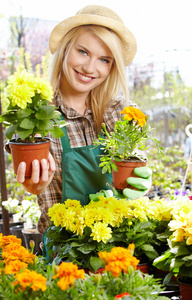 花店女人在温室花卉与合作
